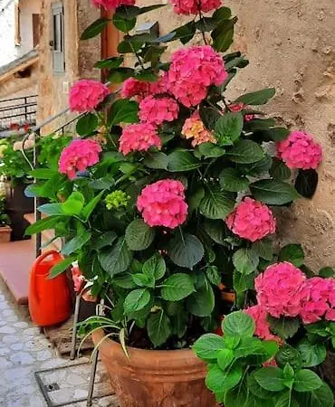 Idyllisches Ferienhaus Im Herzen Italiens Castel San Felice